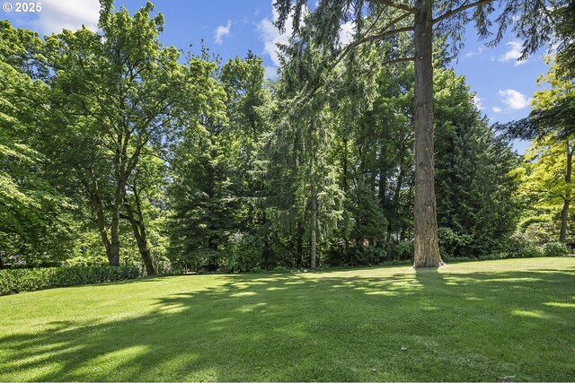 12643 S Iron Mountain Blvd, Portland, OR 97219 - view of green lawn