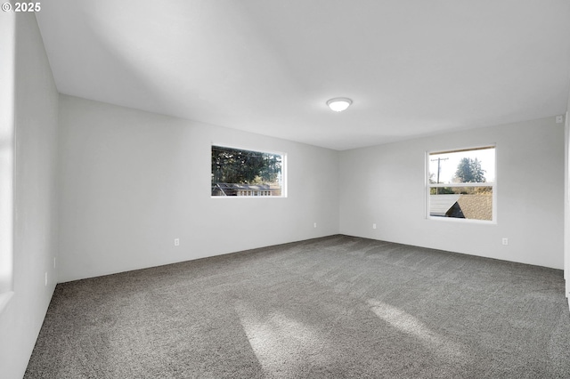 unfurnished room with carpet floors