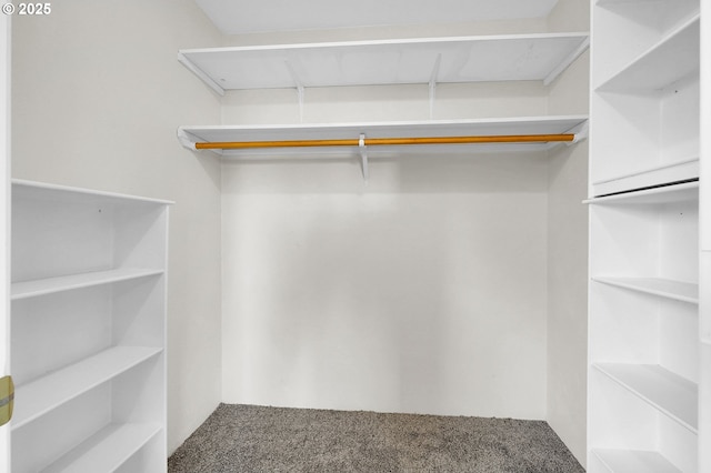 spacious closet with carpet flooring