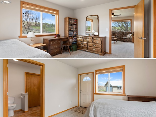 carpeted bedroom featuring baseboards, multiple windows, and connected bathroom