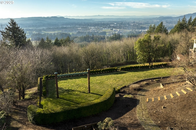 view of property's community with a mountain view and a yard