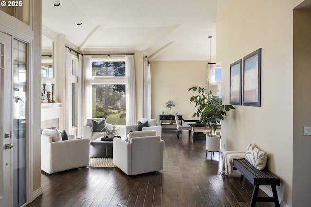 living room featuring ornamental molding and dark hardwood / wood-style flooring