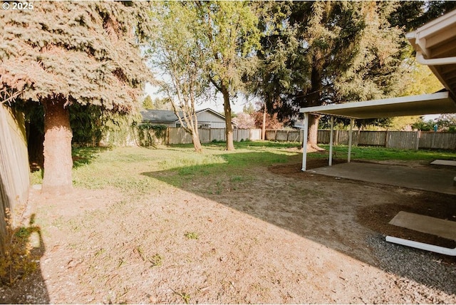 view of yard featuring a fenced backyard and a patio area