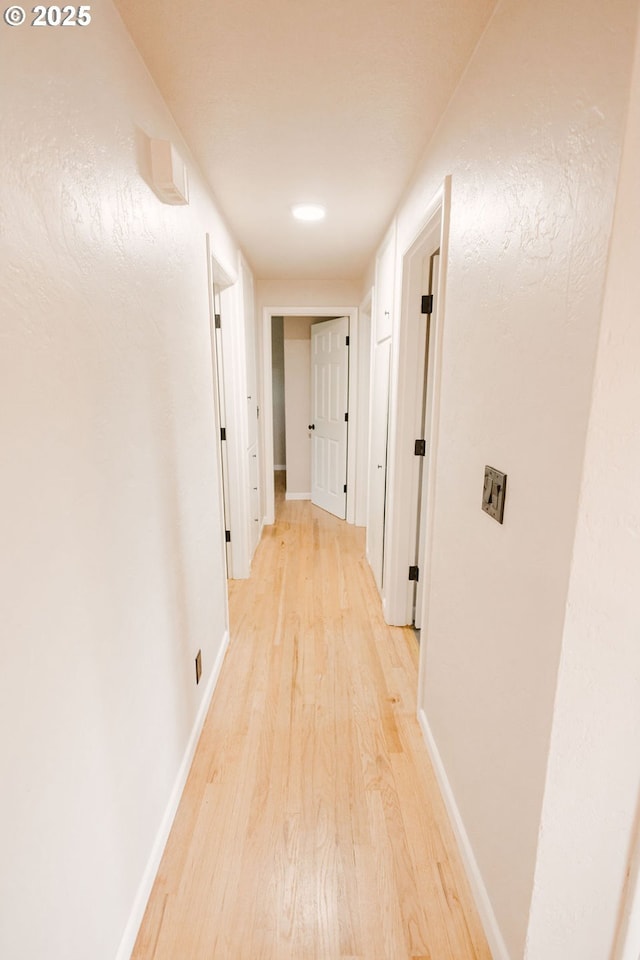 2797 Tulip St, Eugene, OR 97408 - corridor with light wood finished floors and baseboards