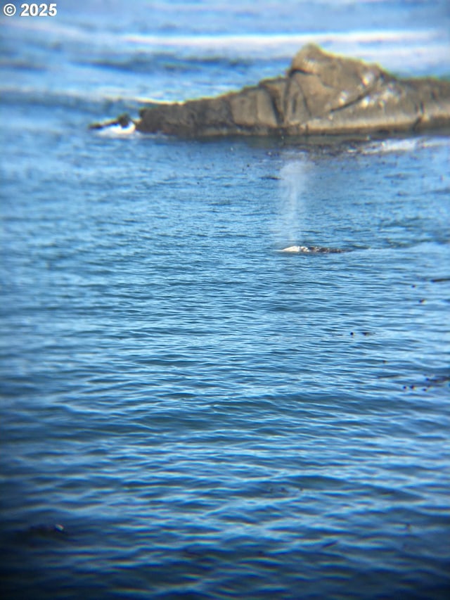 45 NW Harney St, Depoe Bay, OR 97341 - water view
