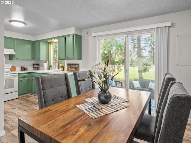 dining space featuring a textured ceiling, electric panel, and a healthy amount of sunlight