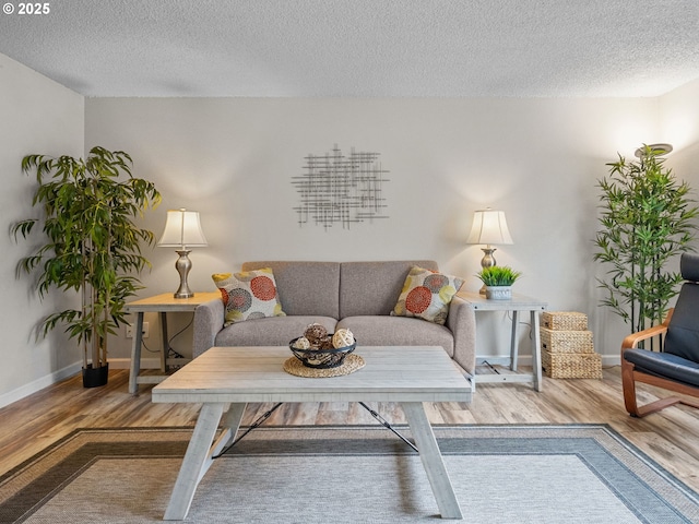 living room with hardwood / wood-style floors and a textured ceiling