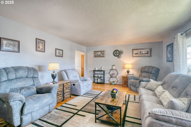 living area with a textured ceiling and wood finished floors