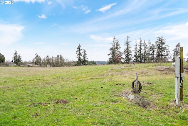 view of yard with a rural view