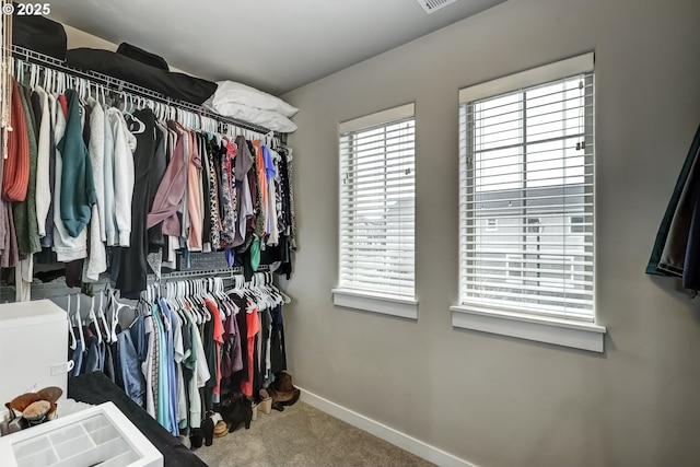 spacious closet featuring carpet