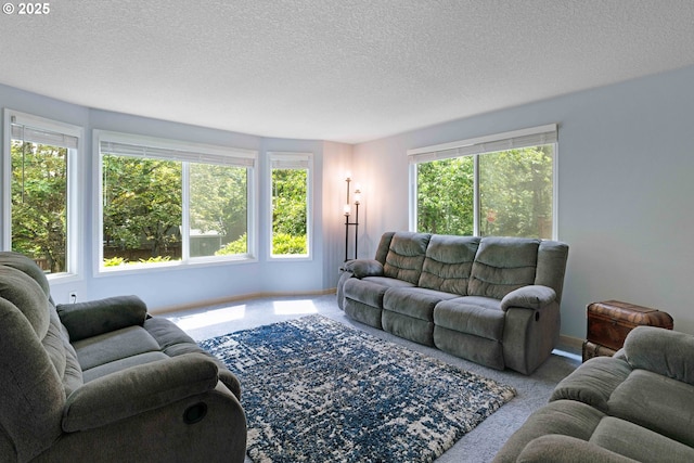 13465 SW Lancewood St, Beaverton, OR 97008 - living room featuring carpet and a textured ceiling