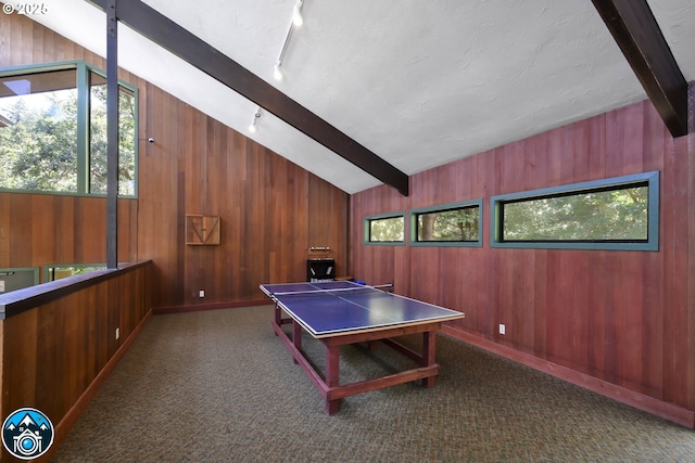 103 Treehill Loop, Eugene, OR 97405 - recreation room featuring wood walls, carpet floors, and rail lighting