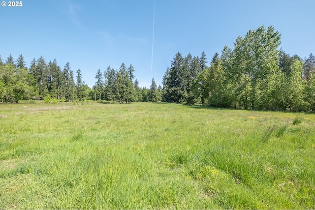 30563 Fairview Rd, Lebanon, OR 97355 - view of tree filled area featuring a view of rural / pastoral area