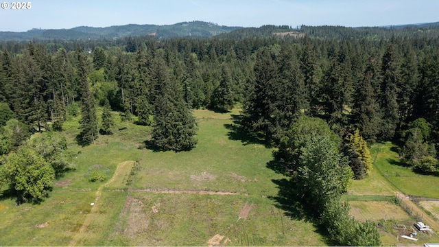 30563 Fairview Rd, Lebanon, OR 97355 - aerial view of property and surrounding area featuring a forest and mountains