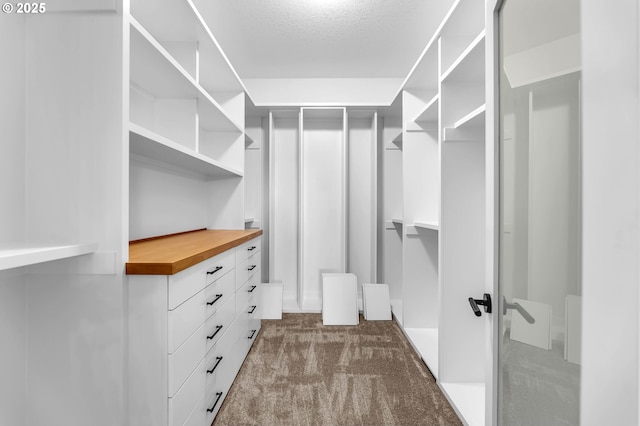 walk in closet featuring dark carpet