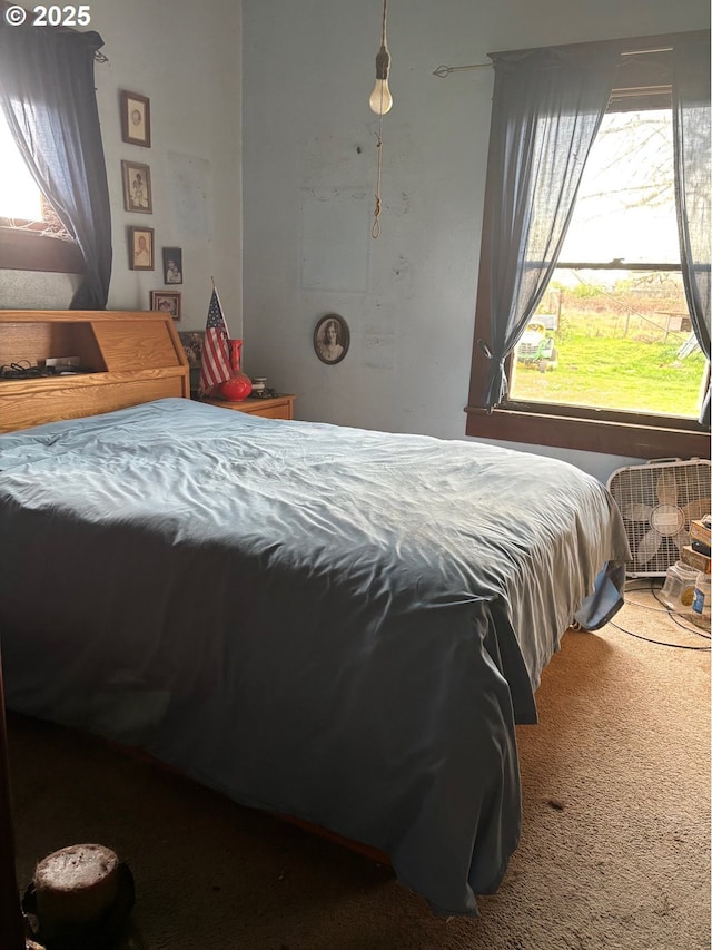 carpeted bedroom featuring multiple windows