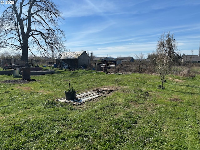 view of yard with an outbuilding
