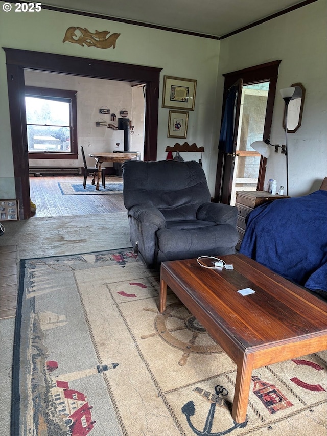 living area featuring crown molding