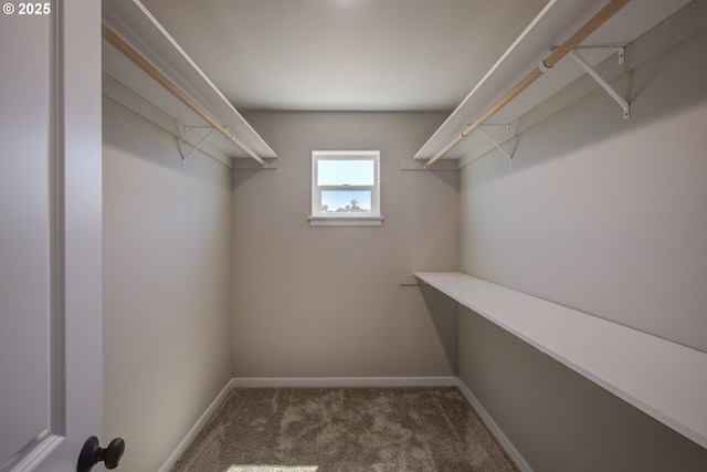 113 Citation Ct, Winston, OR 97496 - walk in closet with carpet floors