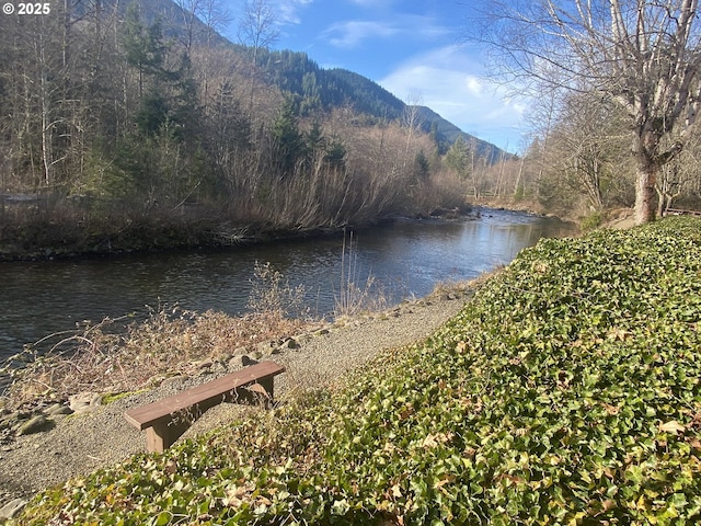 view of water feature featuring a mountain view