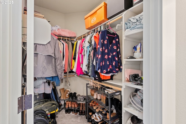 view of walk in closet