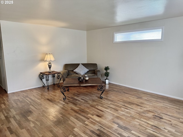 living area featuring wood-type flooring