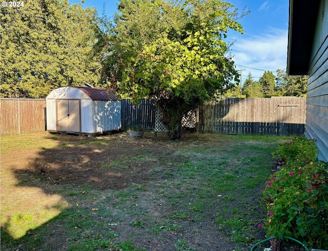 view of yard featuring a shed