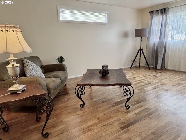 living room featuring wood-type flooring