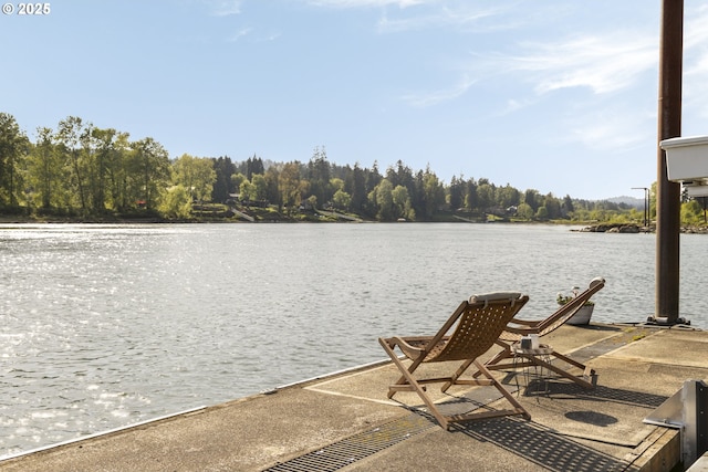 view of dock featuring a water view and a forest view