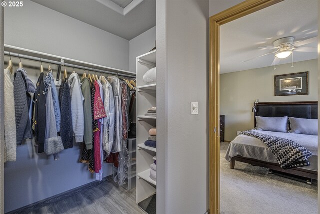 spacious closet with ceiling fan and wood-type flooring