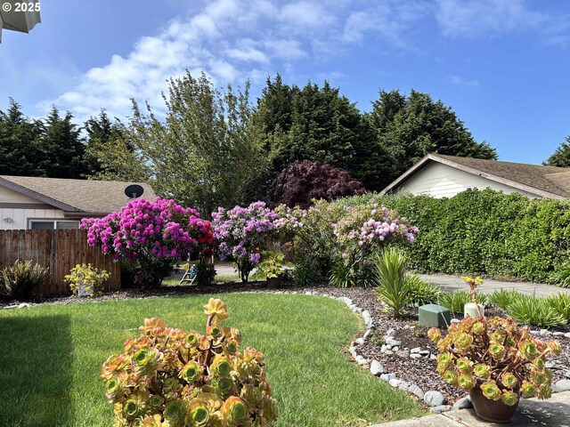 17239 Lumberview Rd, Brookings, OR 97415 - view of yard