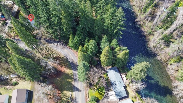 91760 Horse Creek Rd, Mckenzie Bridge, OR 97413 - aerial overview of property's location
