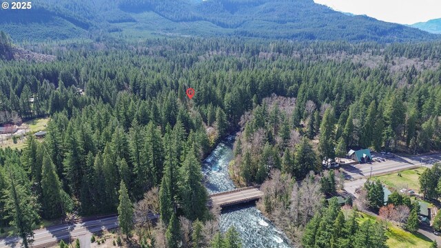 91760 Horse Creek Rd, Mckenzie Bridge, OR 97413 - aerial view of property's location with a forest and mountains