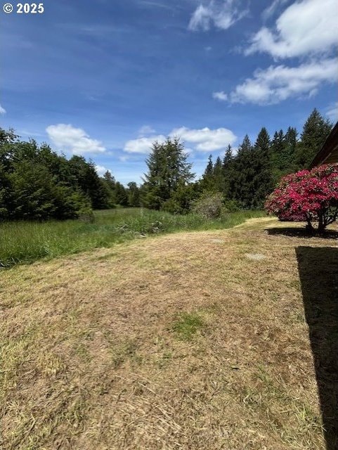 73927 Alder Grove Rd, Clatskanie, OR 97016 - view of yard