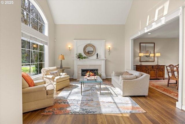 4679 Dogwood Dr, Lake Oswego, OR 97035 - living area featuring high vaulted ceiling, a glass covered fireplace, wood finished floors, and baseboards