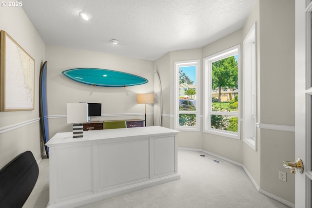 3852 Fairhaven Dr, West Linn, OR 97068 - office with a textured ceiling and light carpet