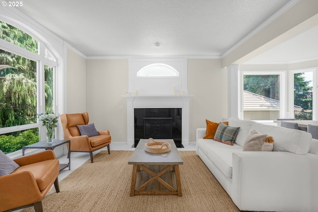 3852 Fairhaven Dr, West Linn, OR 97068 - living room with a fireplace, crown molding, and a textured ceiling