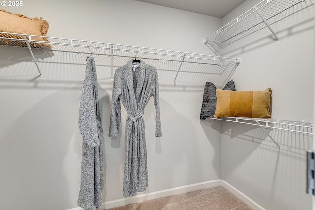 966 Legacy Ln, Eugene, OR 97402 - walk in closet with carpet