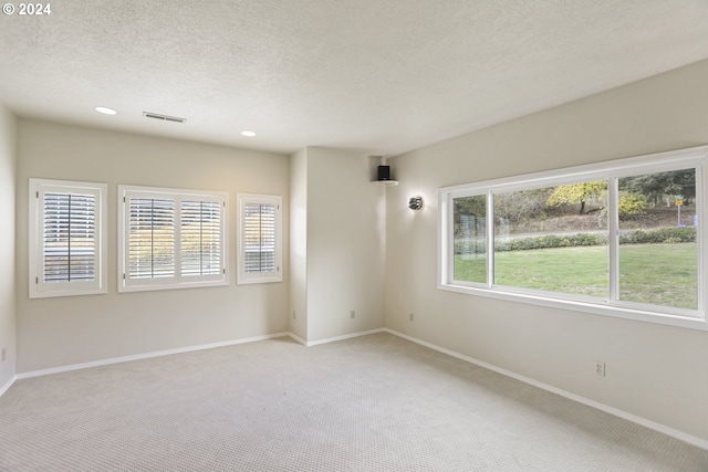 spare room with light colored carpet and a textured ceiling