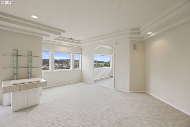 unfurnished room with a raised ceiling and light colored carpet