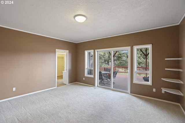 empty room with crown molding, light colored carpet, and a textured ceiling