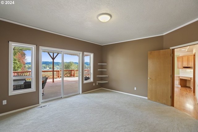 spare room featuring ornamental molding, light colored carpet, and a textured ceiling