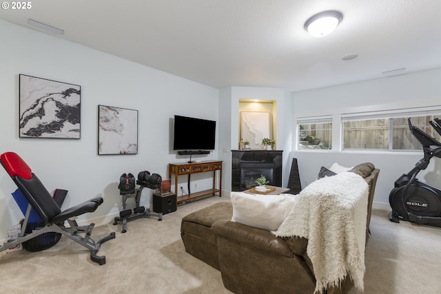 exercise area featuring baseboards and carpet floors