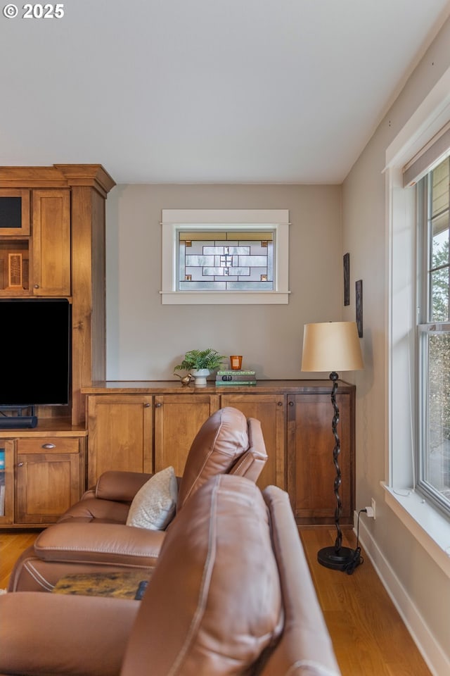 living area featuring wood finished floors and baseboards