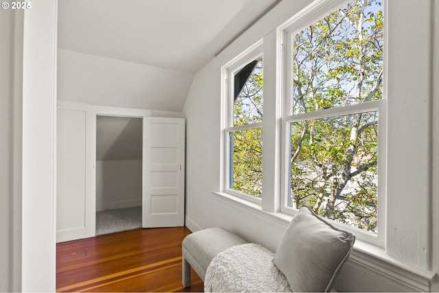 living area with lofted ceiling, a healthy amount of sunlight, and wood finished floors