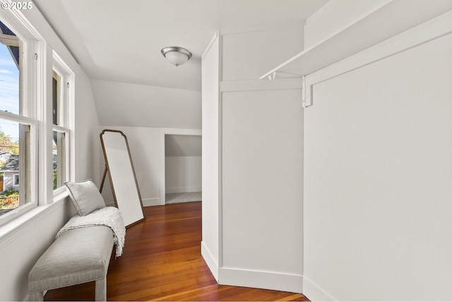 walk in closet featuring wood finished floors