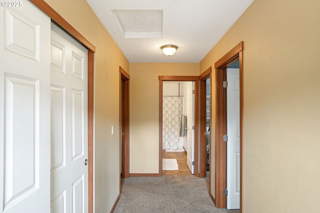 corridor featuring light colored carpet