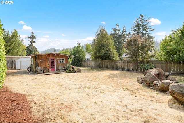 view of yard featuring a shed