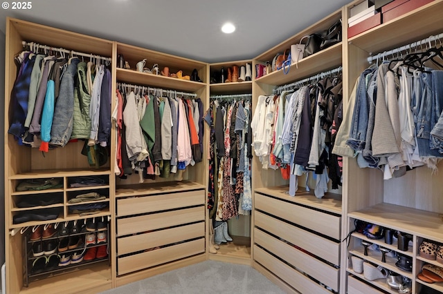 view of spacious closet
