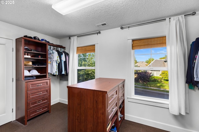 18287 SW Florendo Ln, Beaverton, OR 97007 - walk in closet with dark carpet